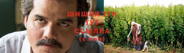 соль ск Вяземский