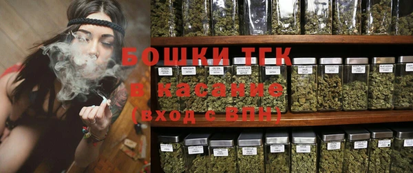 соль ск Вяземский