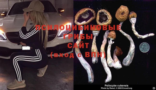 соль ск Вяземский