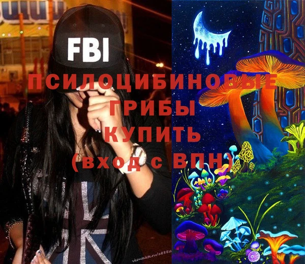 соль ск Вяземский