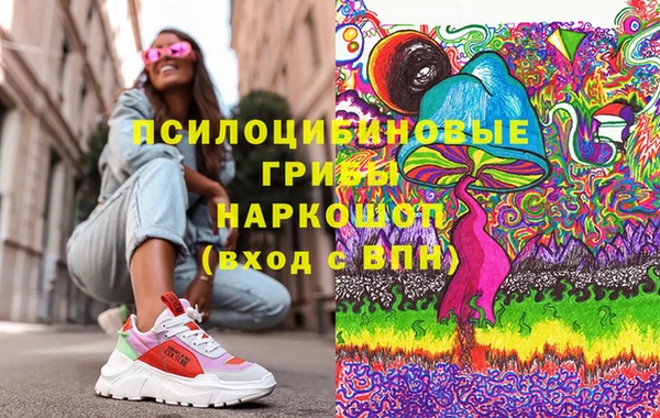 соль ск Вяземский