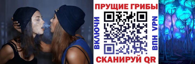 Псилоцибиновые грибы ЛСД  ссылка на мегу маркетплейс  Южа 